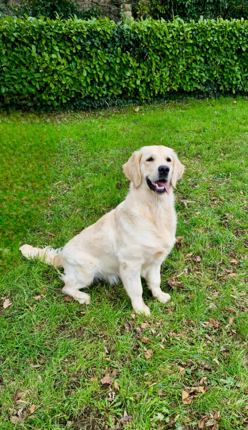 Une Histoire Simple dite "Romy" Des Jardins De L'imaginaire