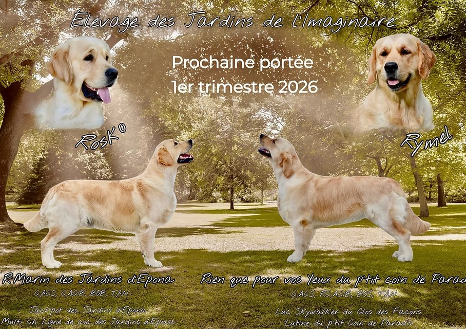 Mariage de Rymel et Rosko le 6 janvier 2026